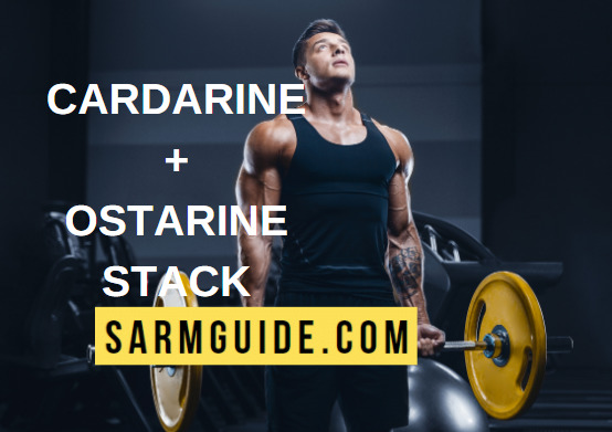 Cardarine Ostarine stack