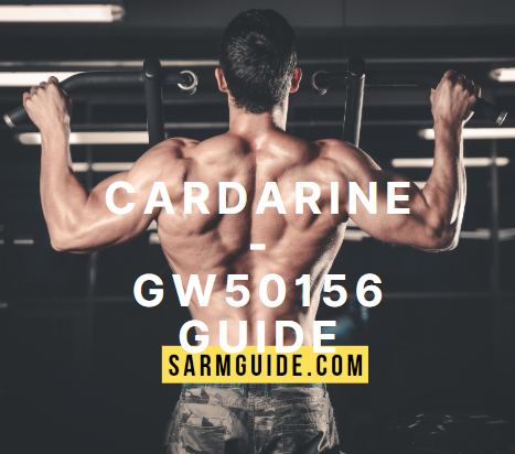 Cardarine review